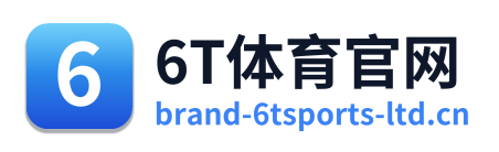 6T体育官网
